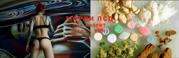 не бодяженный Беломорск