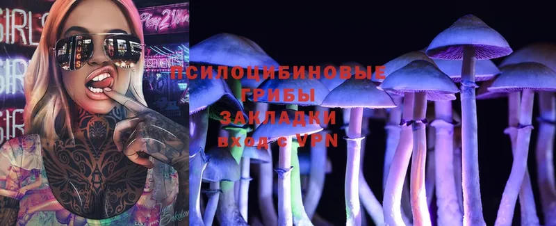 Галлюциногенные грибы Cubensis  Бузулук 