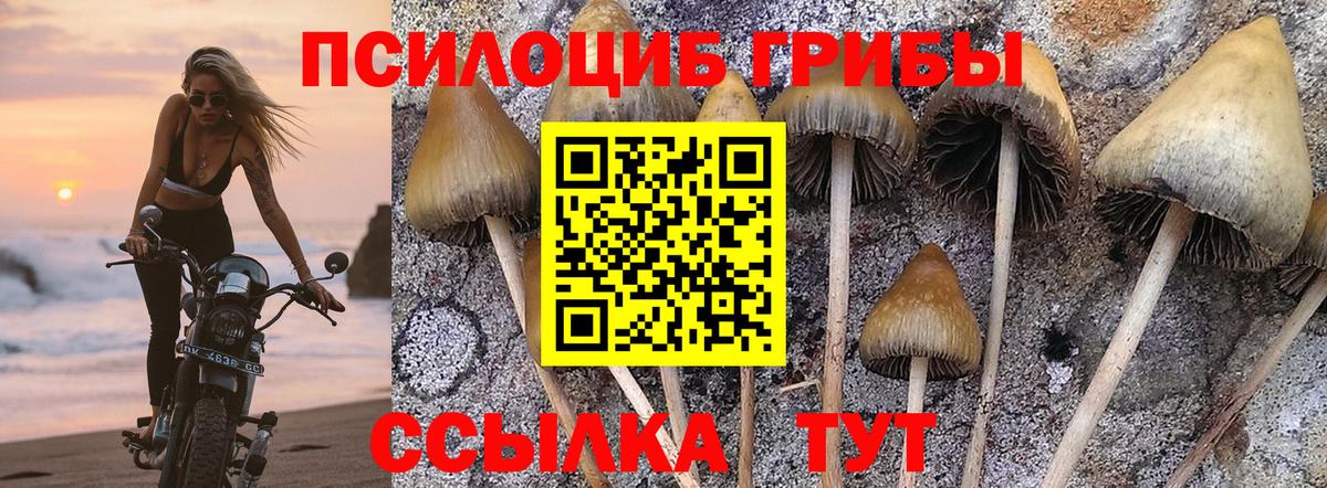 Псилоцибиновые грибы ЛСД Бузулук