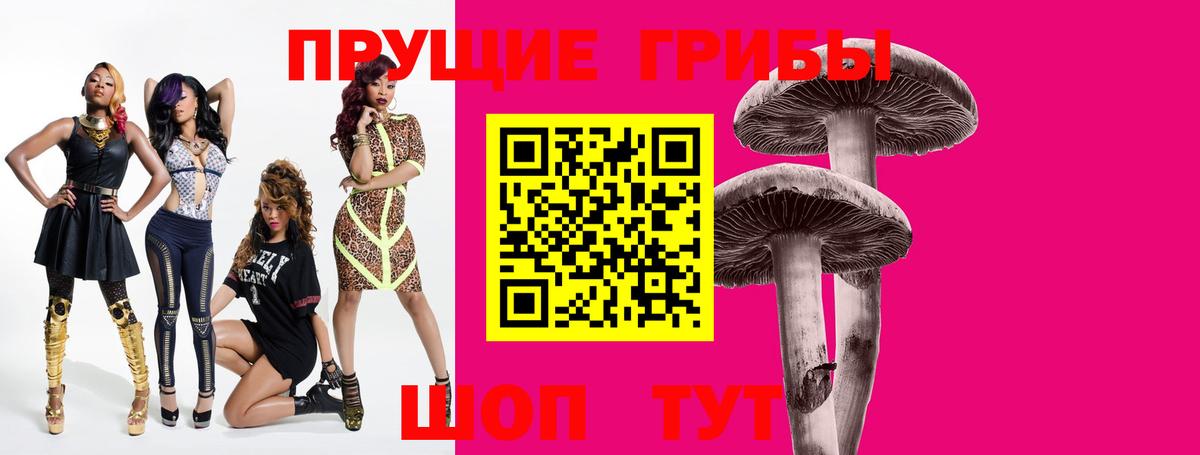 Галлюциногенные грибы Psilocybine cubensis  Бузулук  Псилоцибиновые грибы Psilocybe 