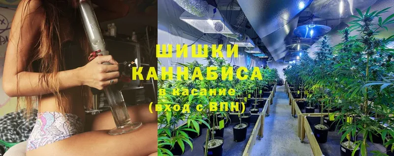 Конопля SATIVA & INDICA  Бузулук 